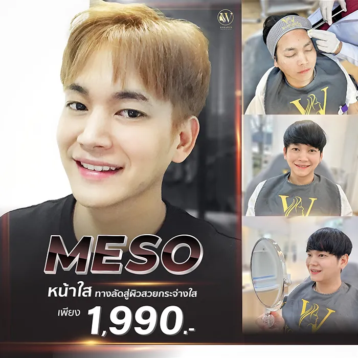 MESO1