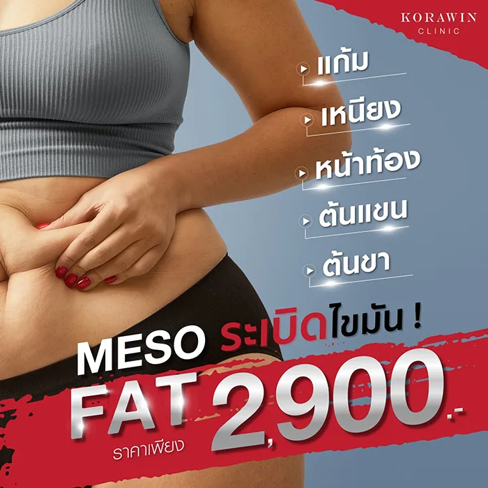 MesoFatระเบิดไขมัน