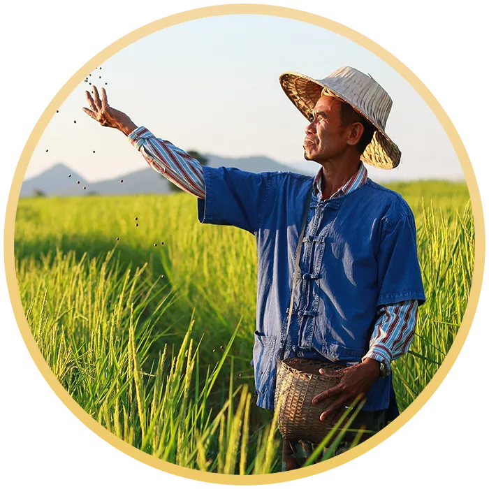 คัดสรรพิเศษ-พันธุ์ข้าวหุงขึ้นหม้อ