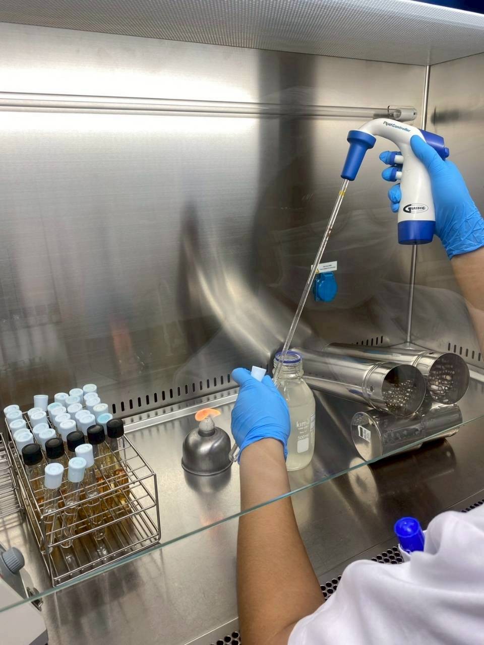 tempc71335db8fb367edc678ba5fbf977eb935297290253356372491197485247803568