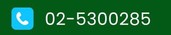 025300285