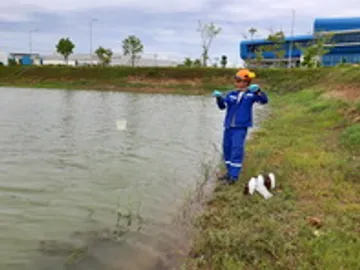น้ำผิวดิน๑๙๐๗๒๙0003resize