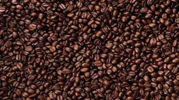 darkroastedbeans(ok)