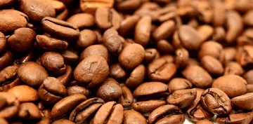 lightroastedbeans(ok)