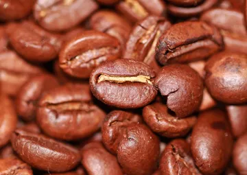 mediumroastedbeans-2(ok)