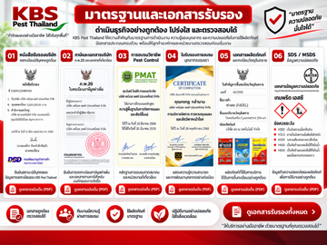 ChatGPTImageSep10,2026at051917PM
