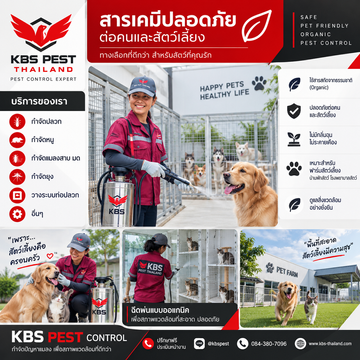 ChatGPTImageSep10,2026at095509AM