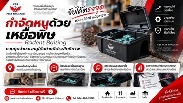 ChatGPTImageSep9,2026at112911AM