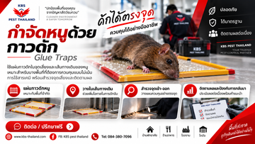 ChatGPTImageSep9,2026at112933AM