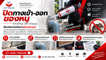 ChatGPTImageSep9,2026at112957AM