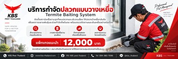 KBStermitebaitingweb1900px