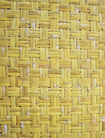 fusebamboo-BAMBOO-PANEL2