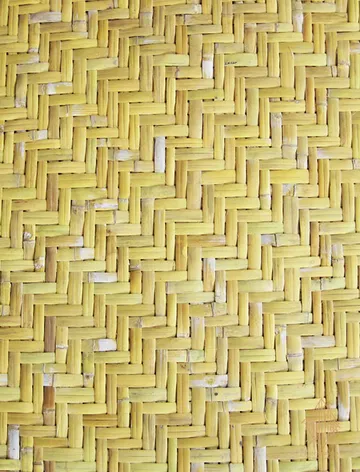 fusebamboo-BAMBOO-PANEL4