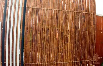 fusebamboo-OUR-WORK6