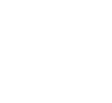Linearray-removebg-preview