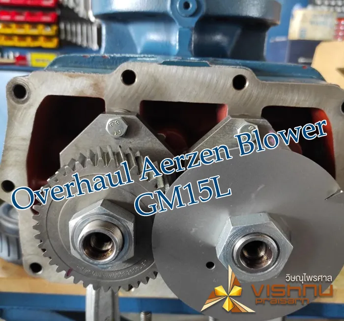 OverhaulAerzenBlowerGM15L-10
