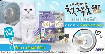 ทรายแมวเกาหลี-เต้าหู้-Two-Two-Pet-Banner