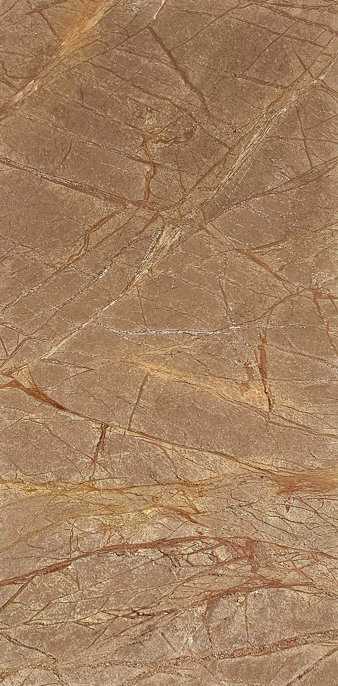 20250311110015