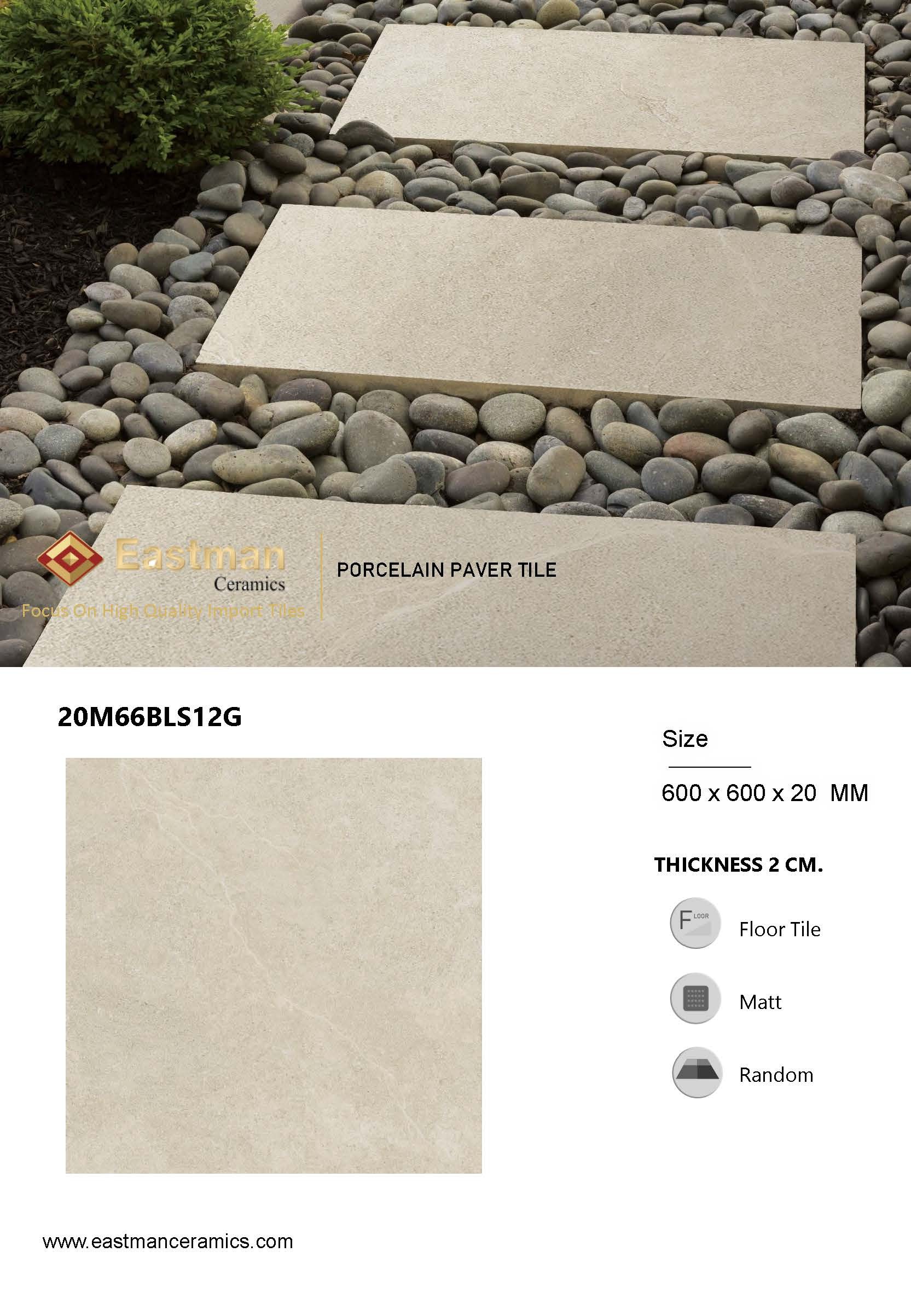 20M66BLS12GPage1