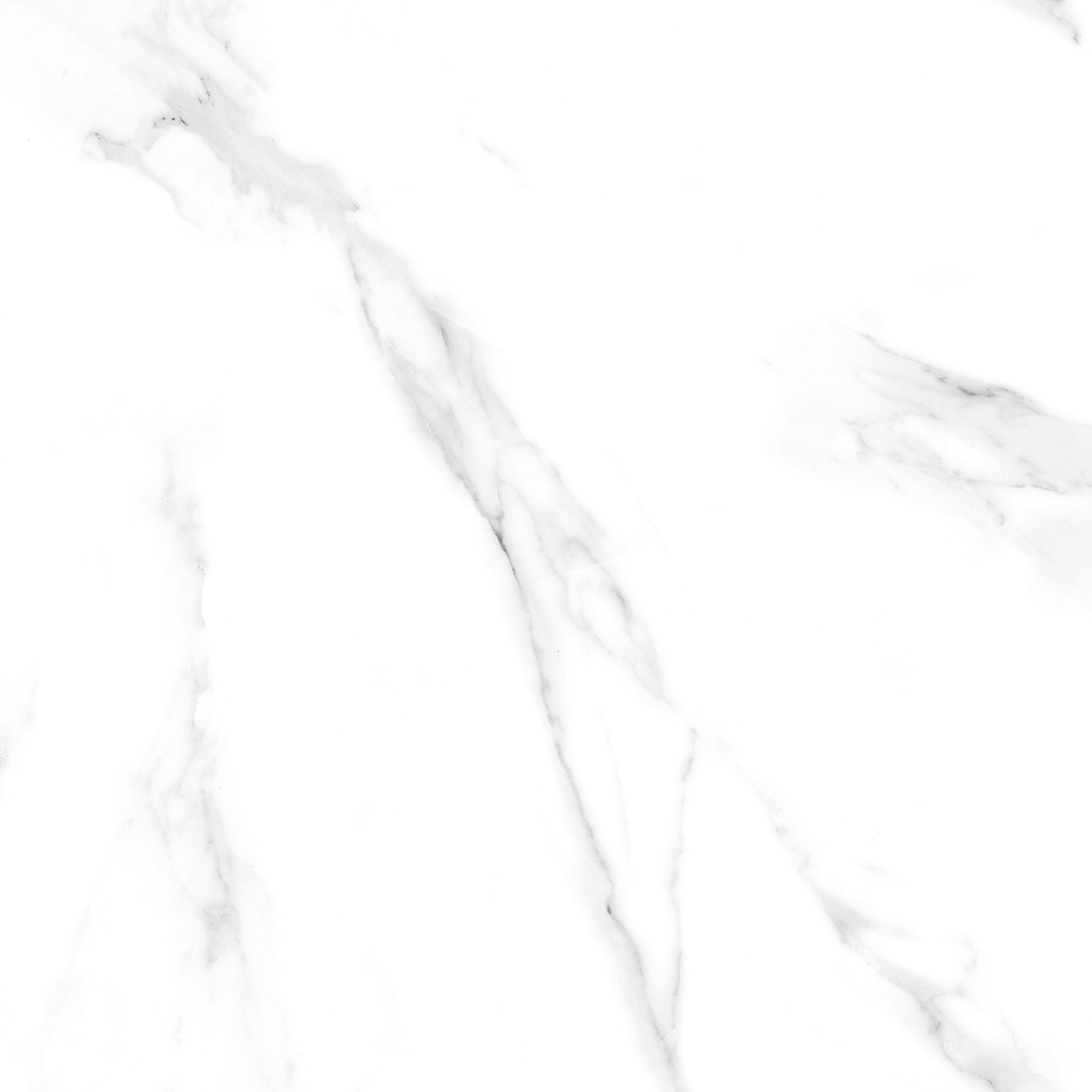 CLASSICSTATUARIOF1copy