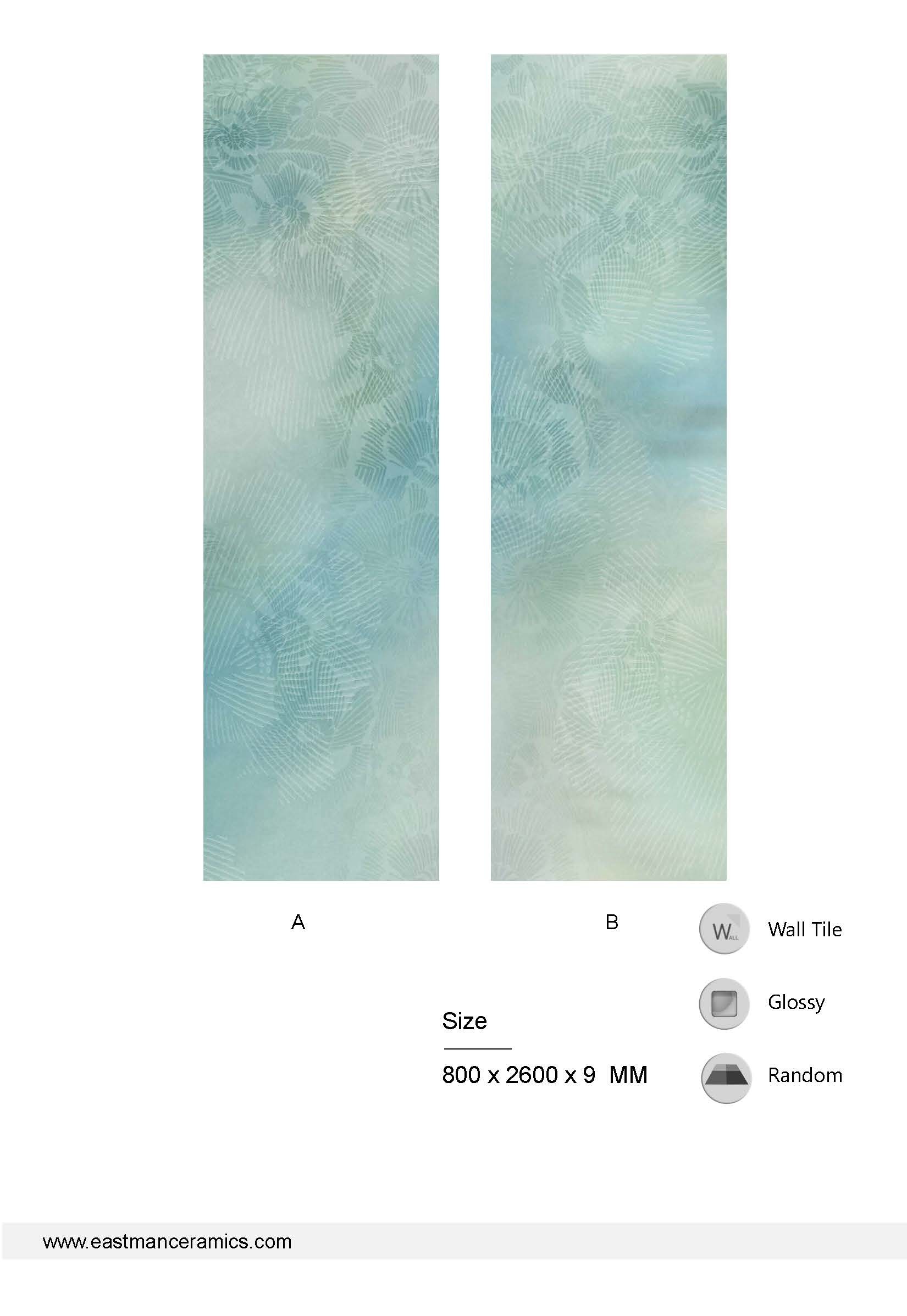 CLOUDSHADOWPage2