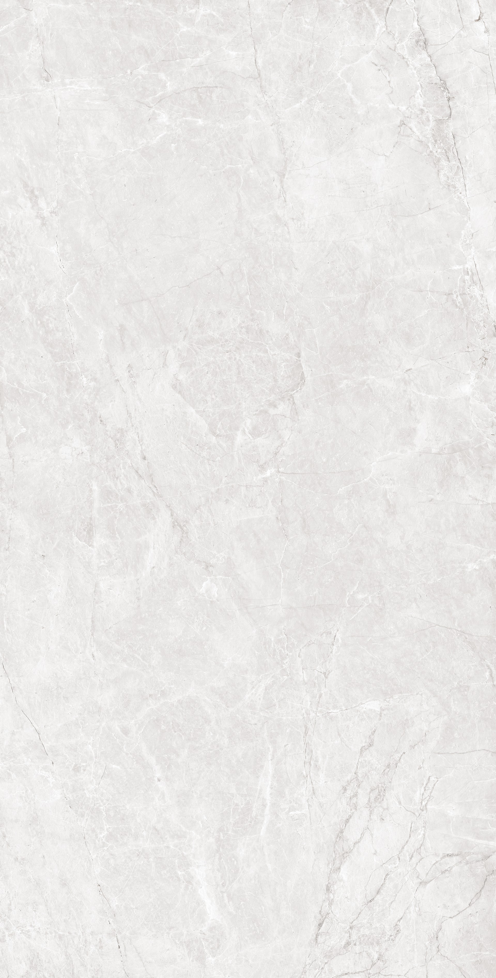 CMD25612294ROYALPALMAWHITE-MATTR10