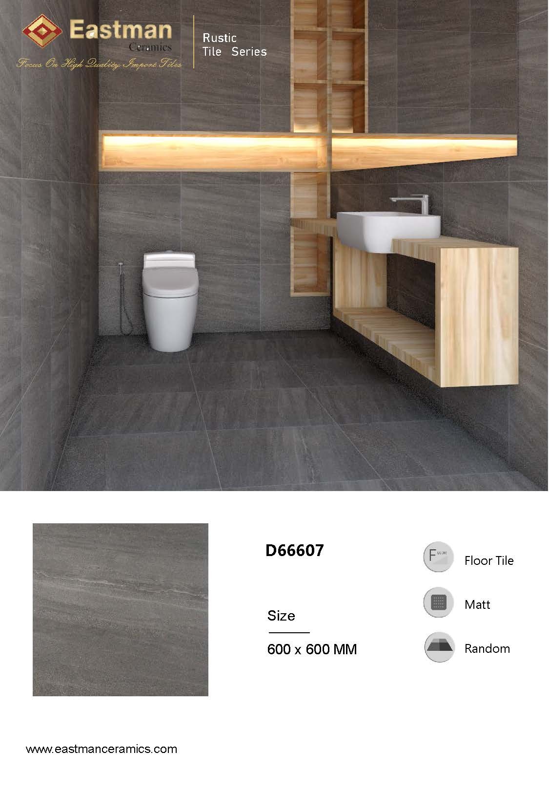 D66607