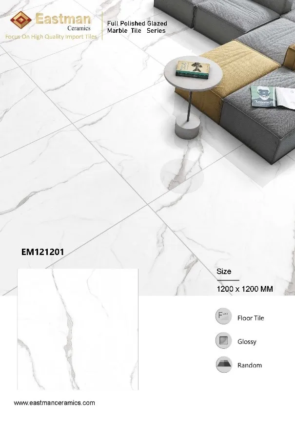 EM12120(1)