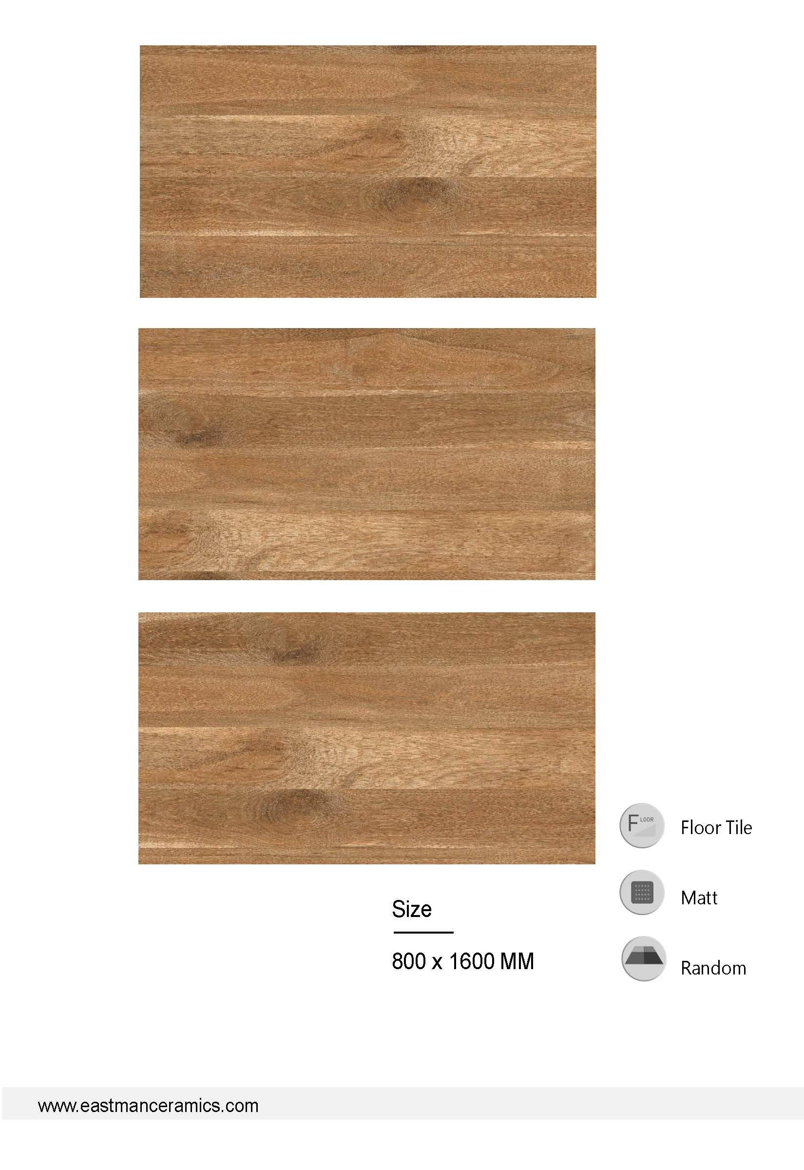 EM801601Page2
