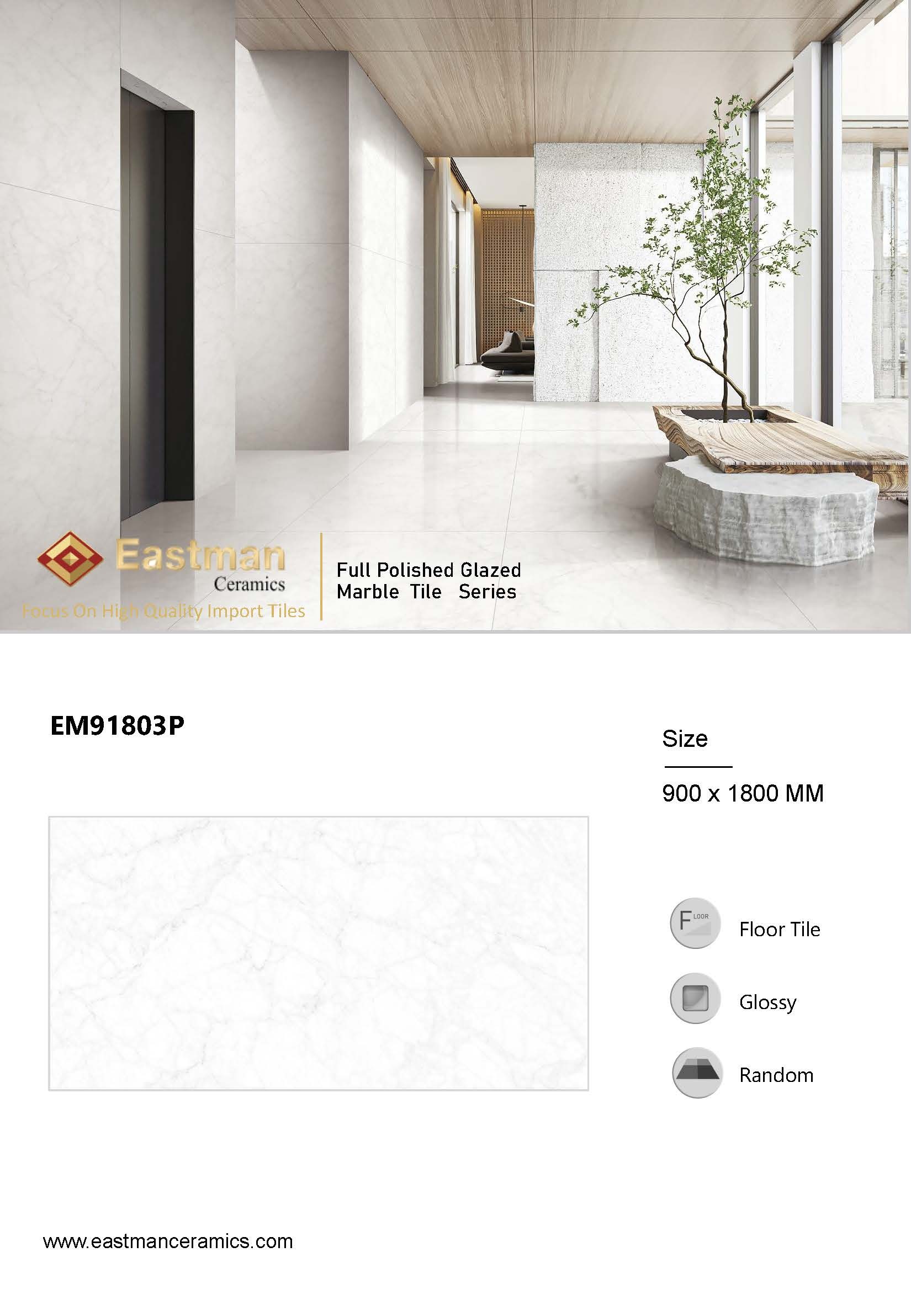 EM91803PPage1