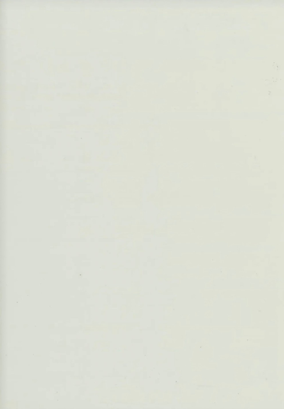 P019