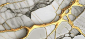 SEV2536233