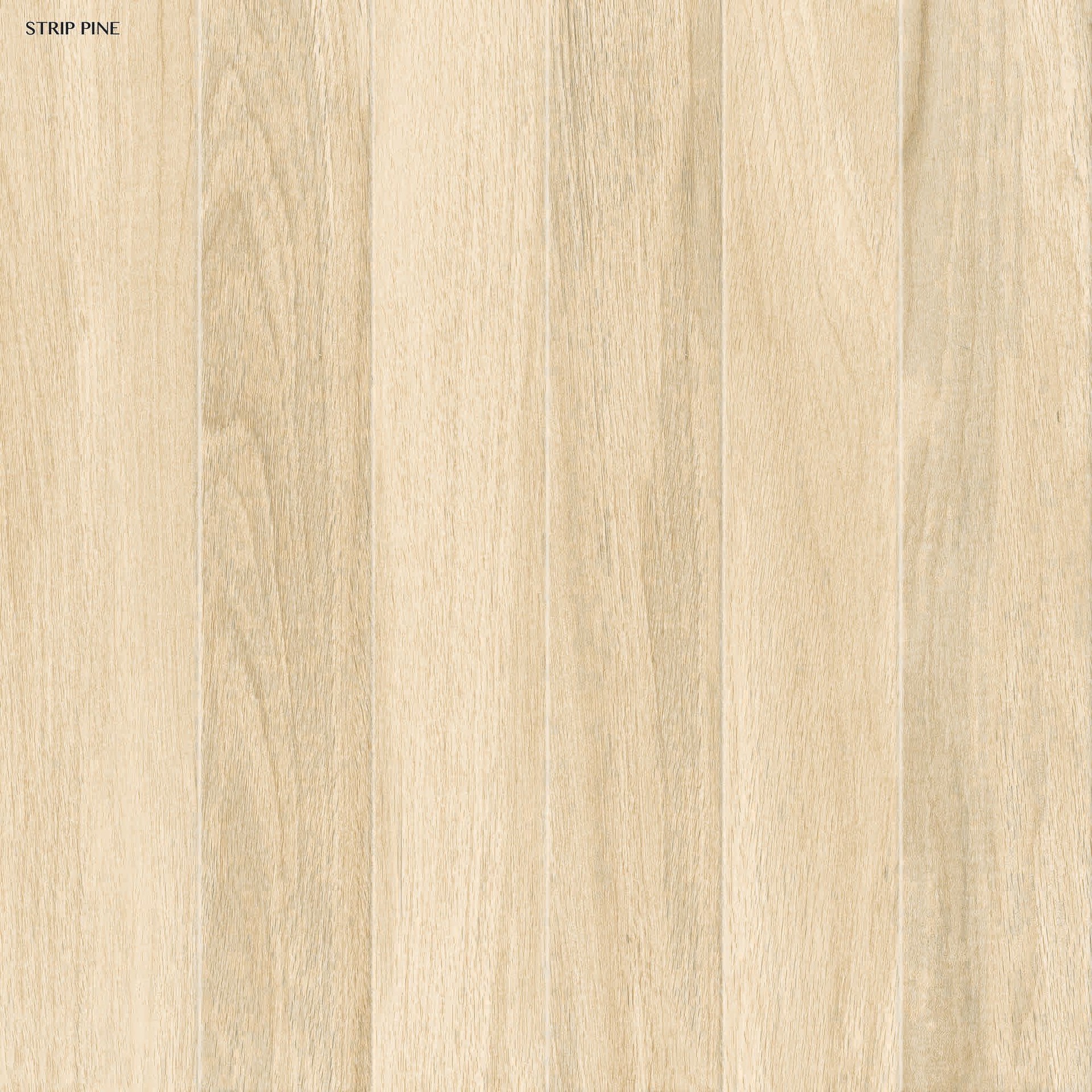 STRIPEPINE-MATT