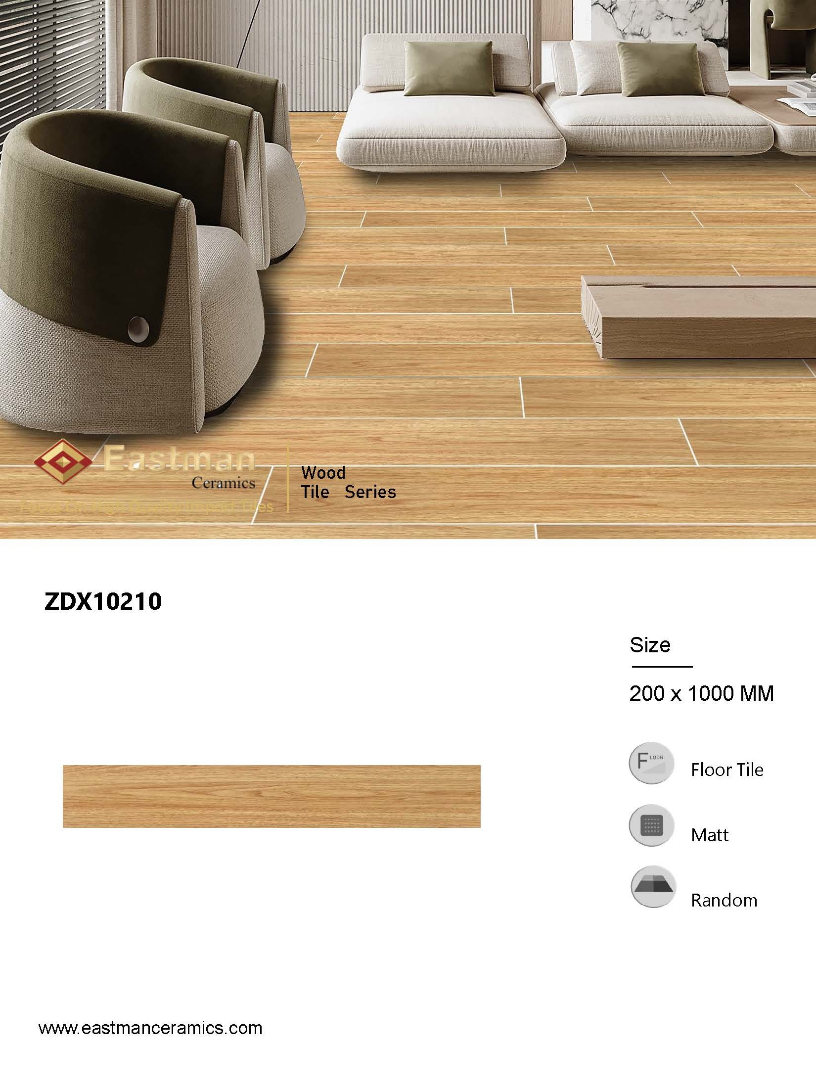 ZDX10210Page1