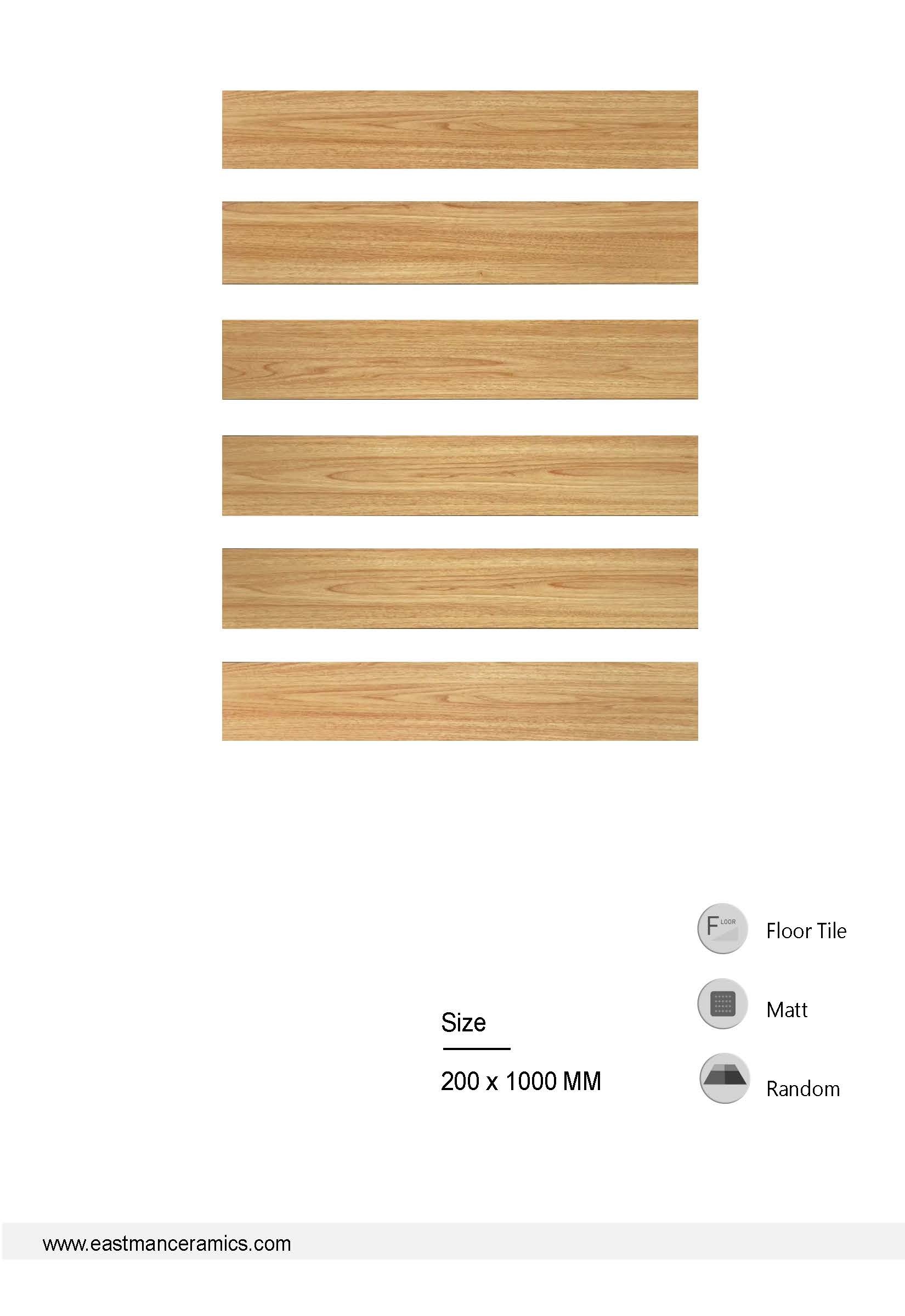 ZDX10210Page2