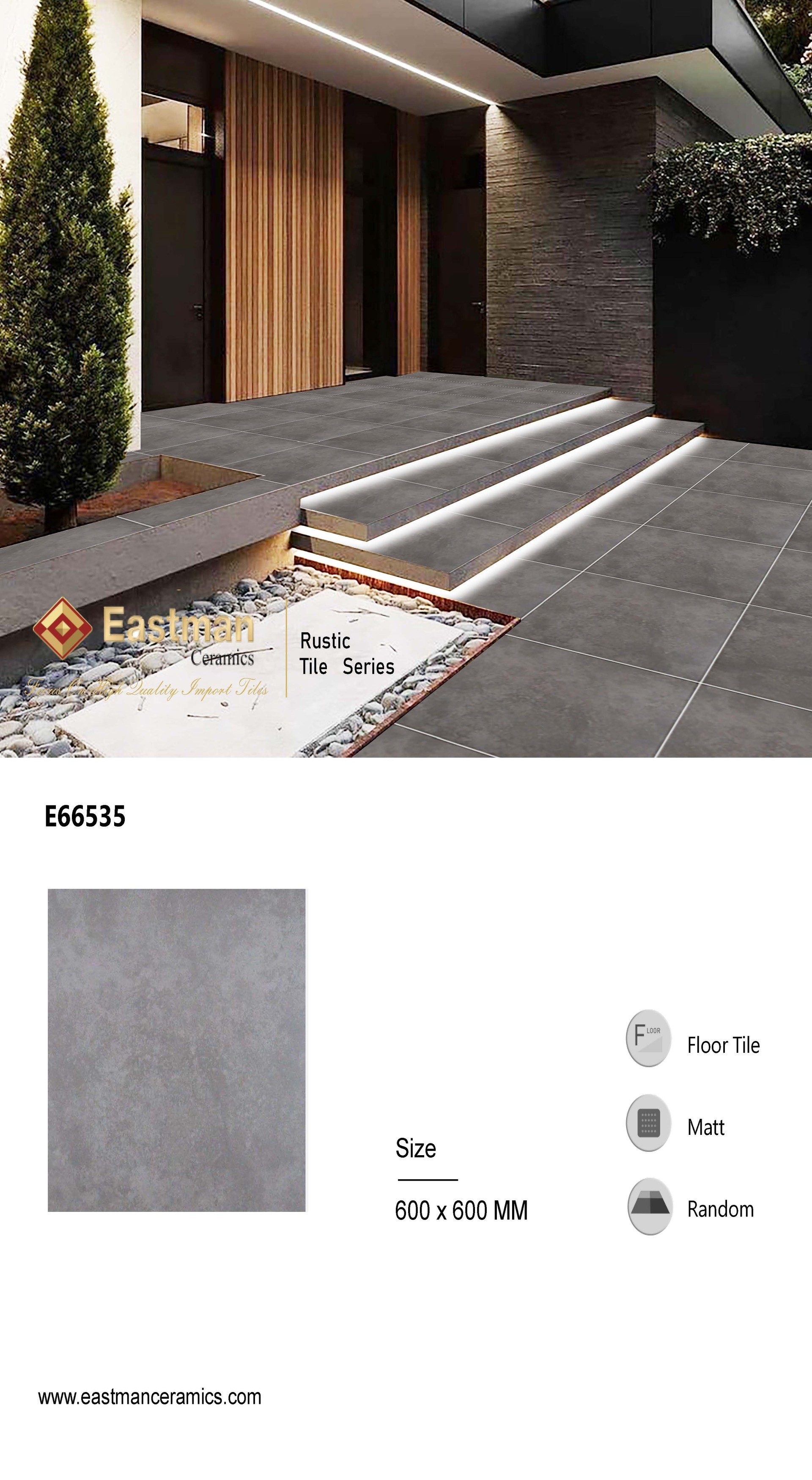 e66535