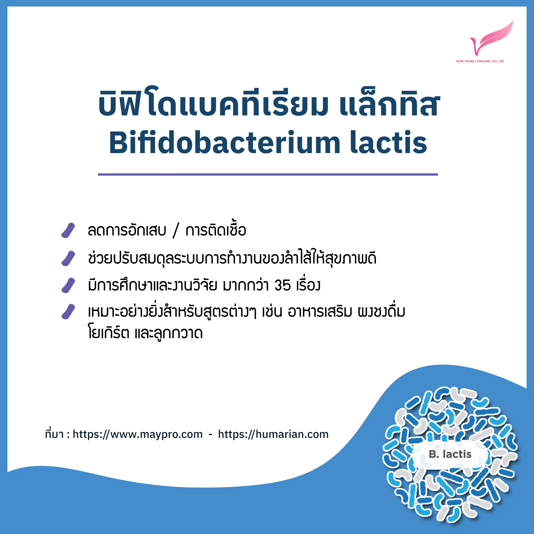 Bifidobacterium lactis.jpg