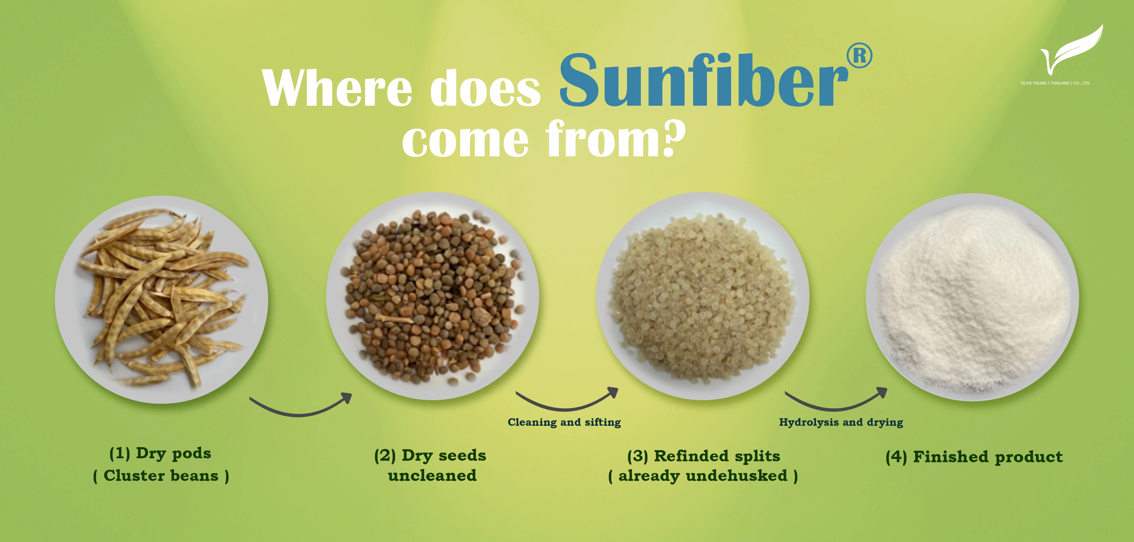 Where does Sunfiber® come from.jpg