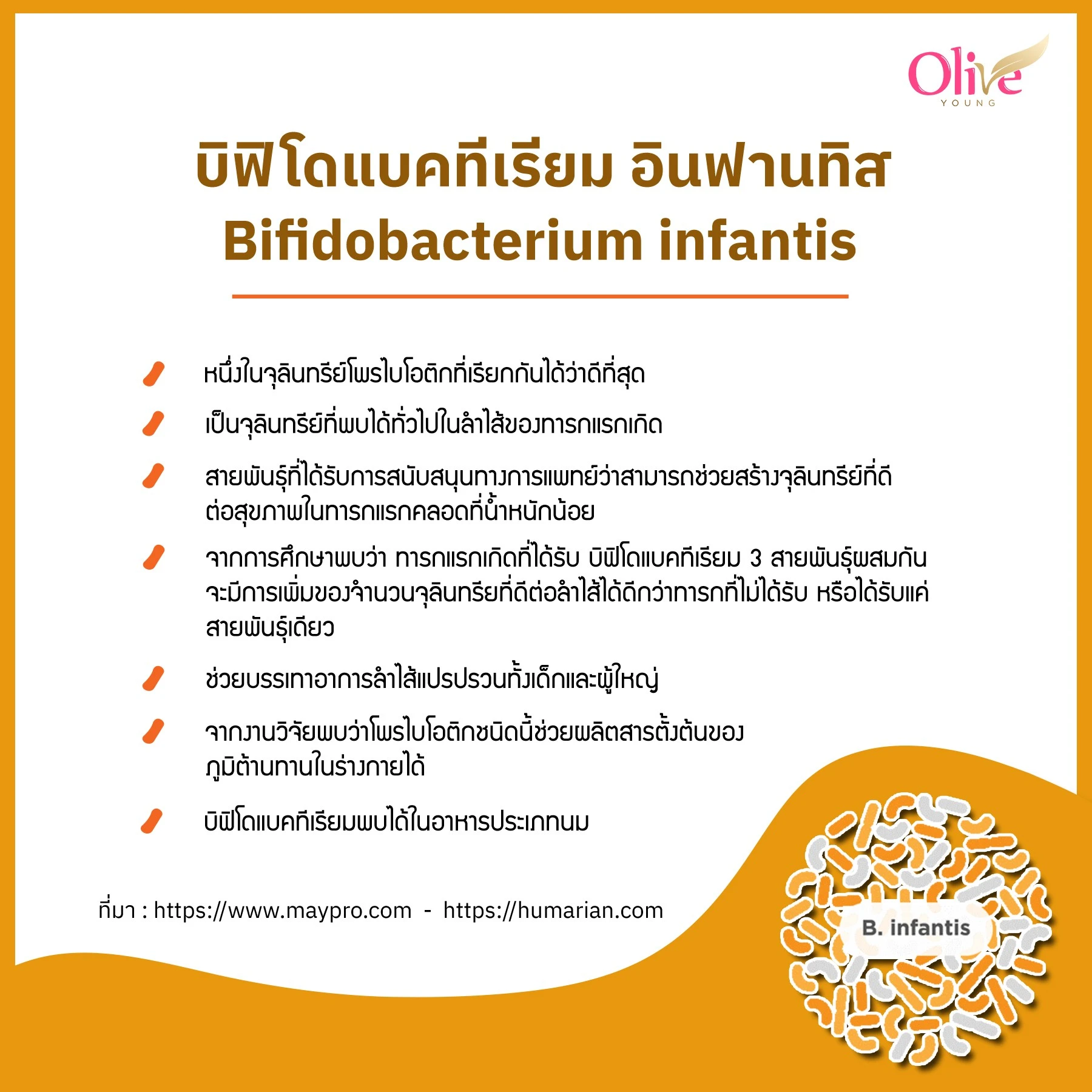 Bifidobacterium infantis