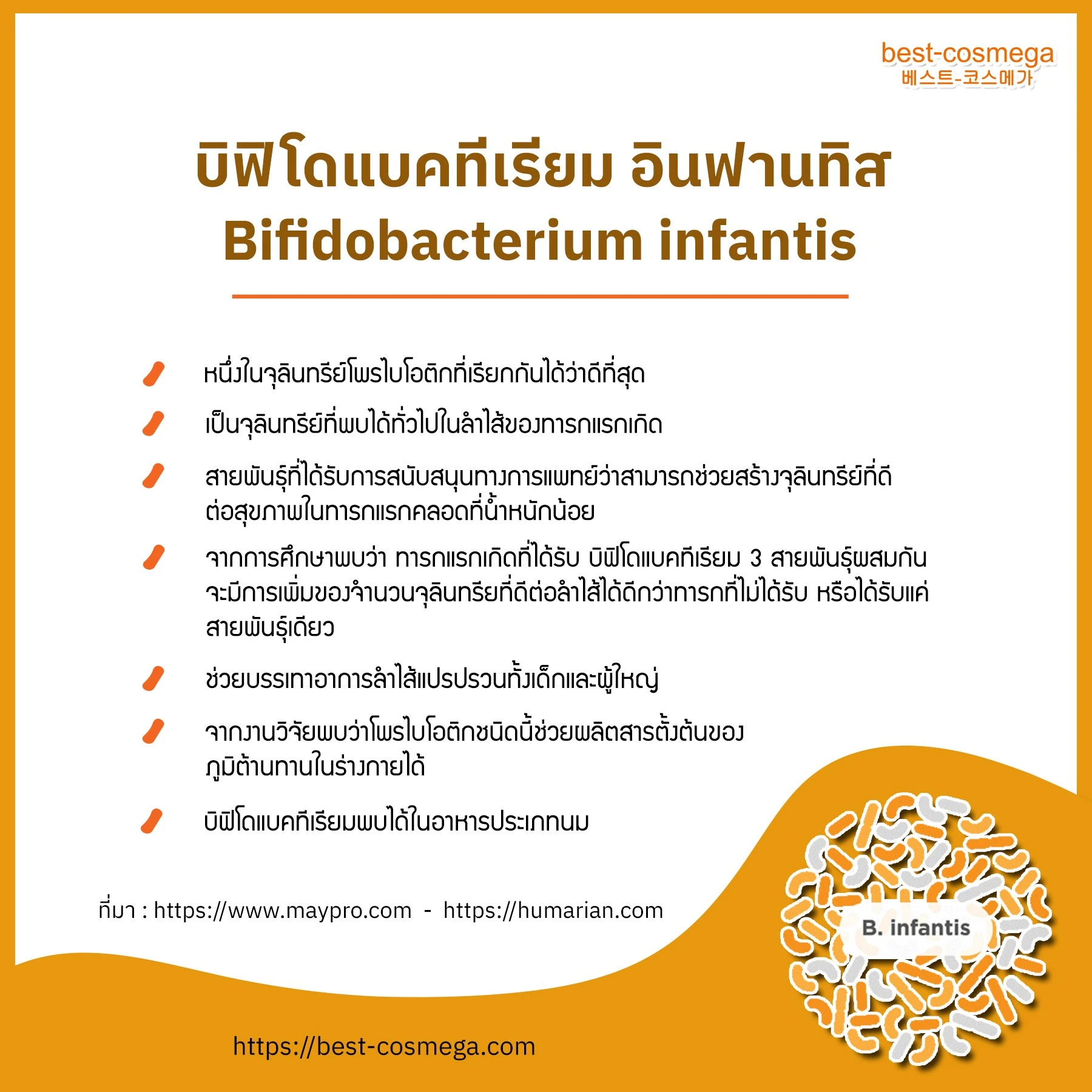 Bifidobacterium infantis