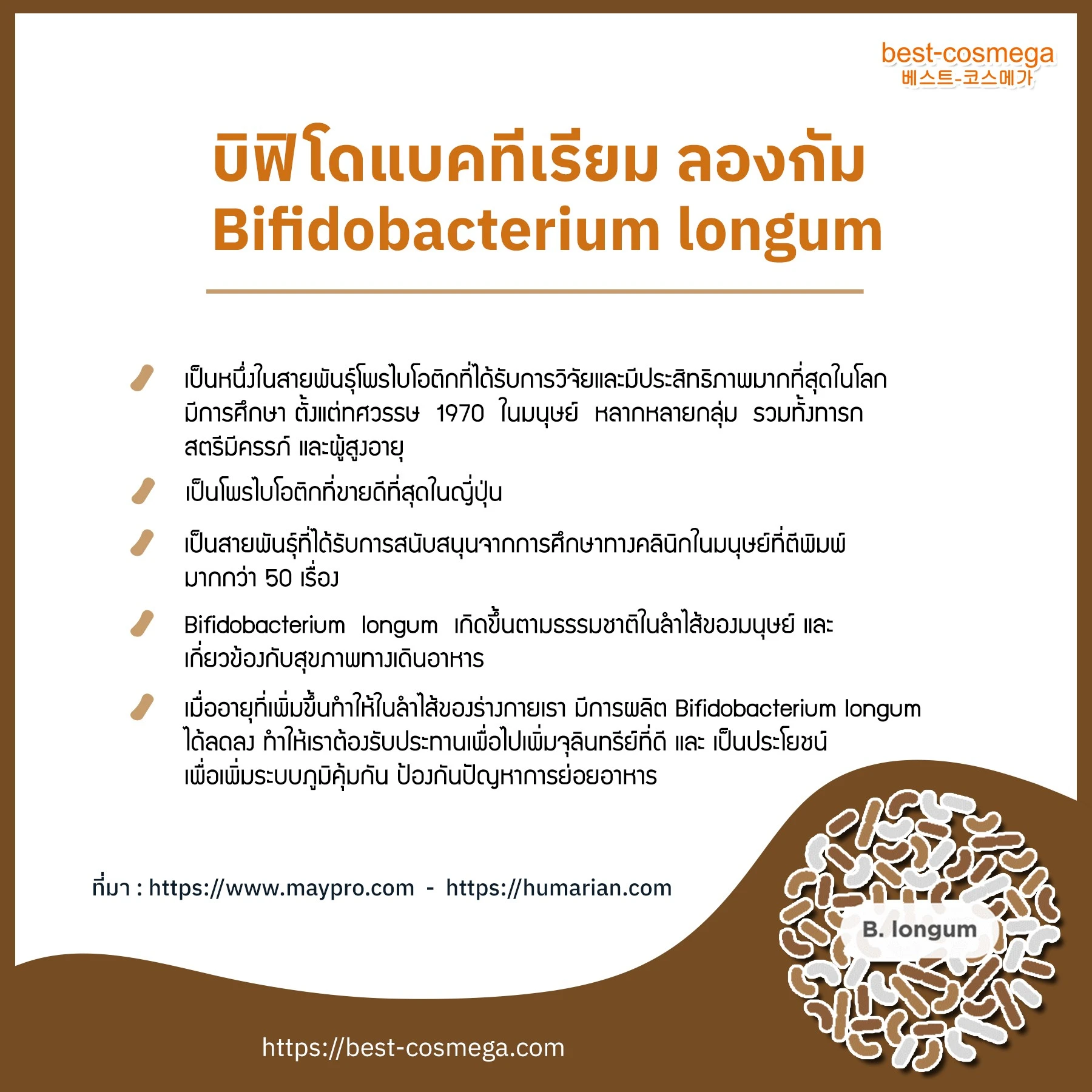 Bifidobacterium longum