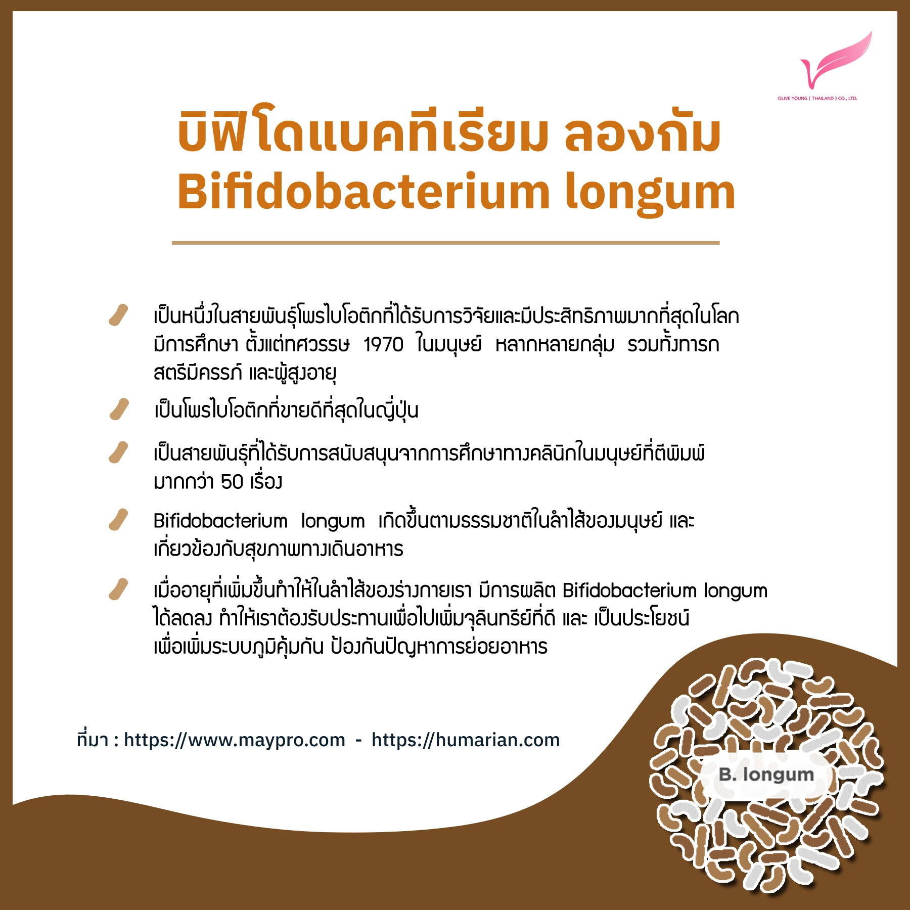 Bifidobacterium longum.jpg