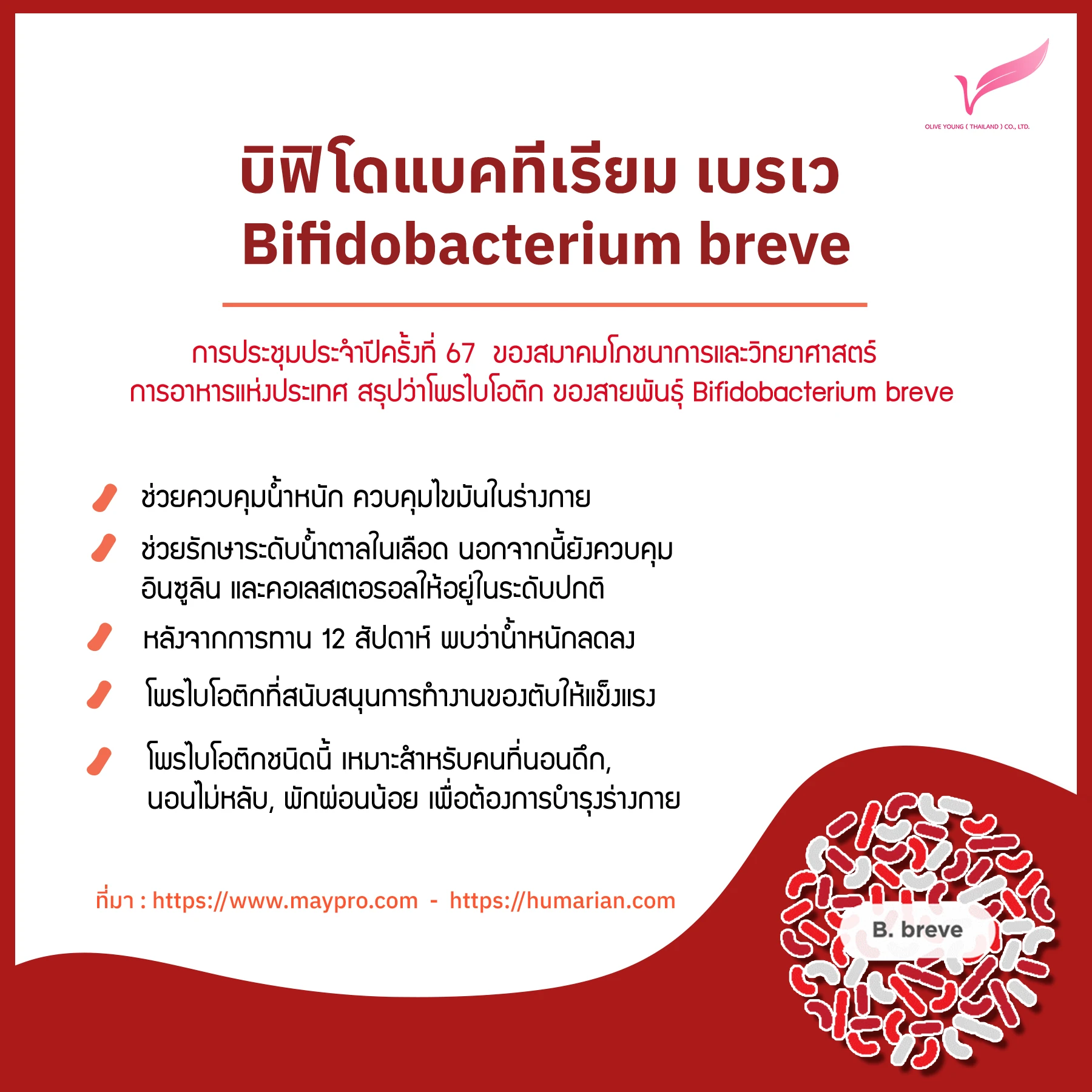 Bifidobacterium breve.jpg