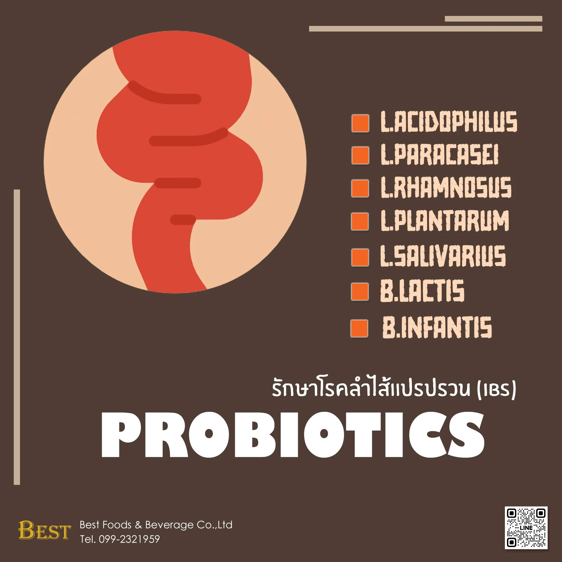 Probiotics-ช่วยโรคลำไส้แปรปวน