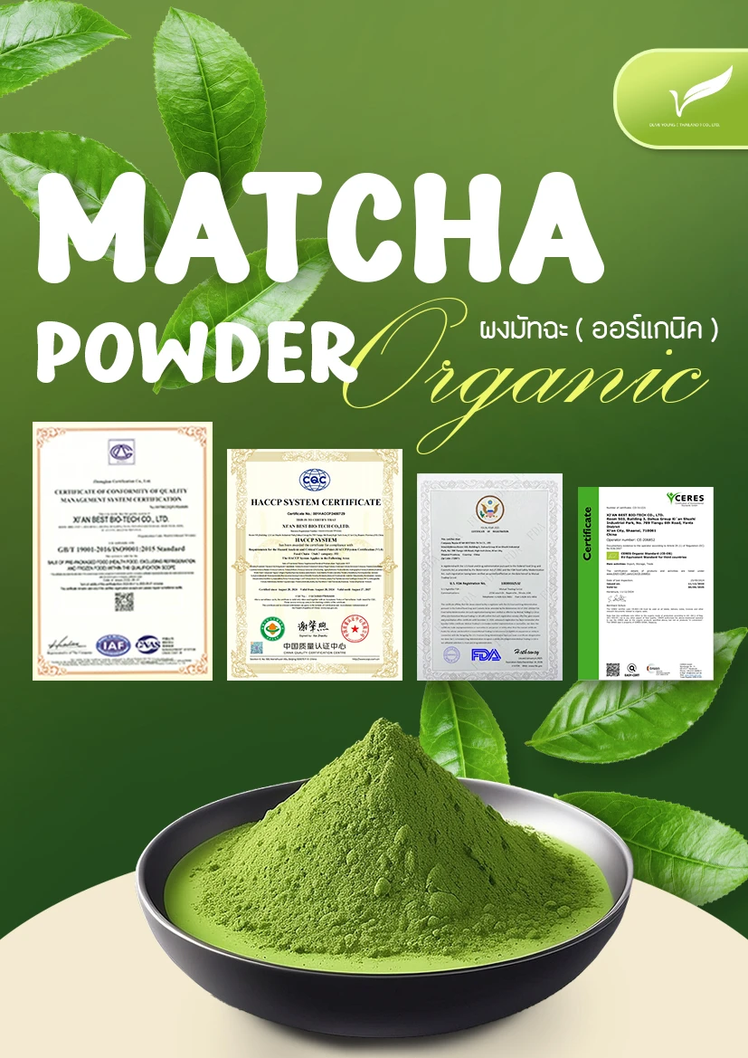 Ads A4 - Matcha Organic.jpg