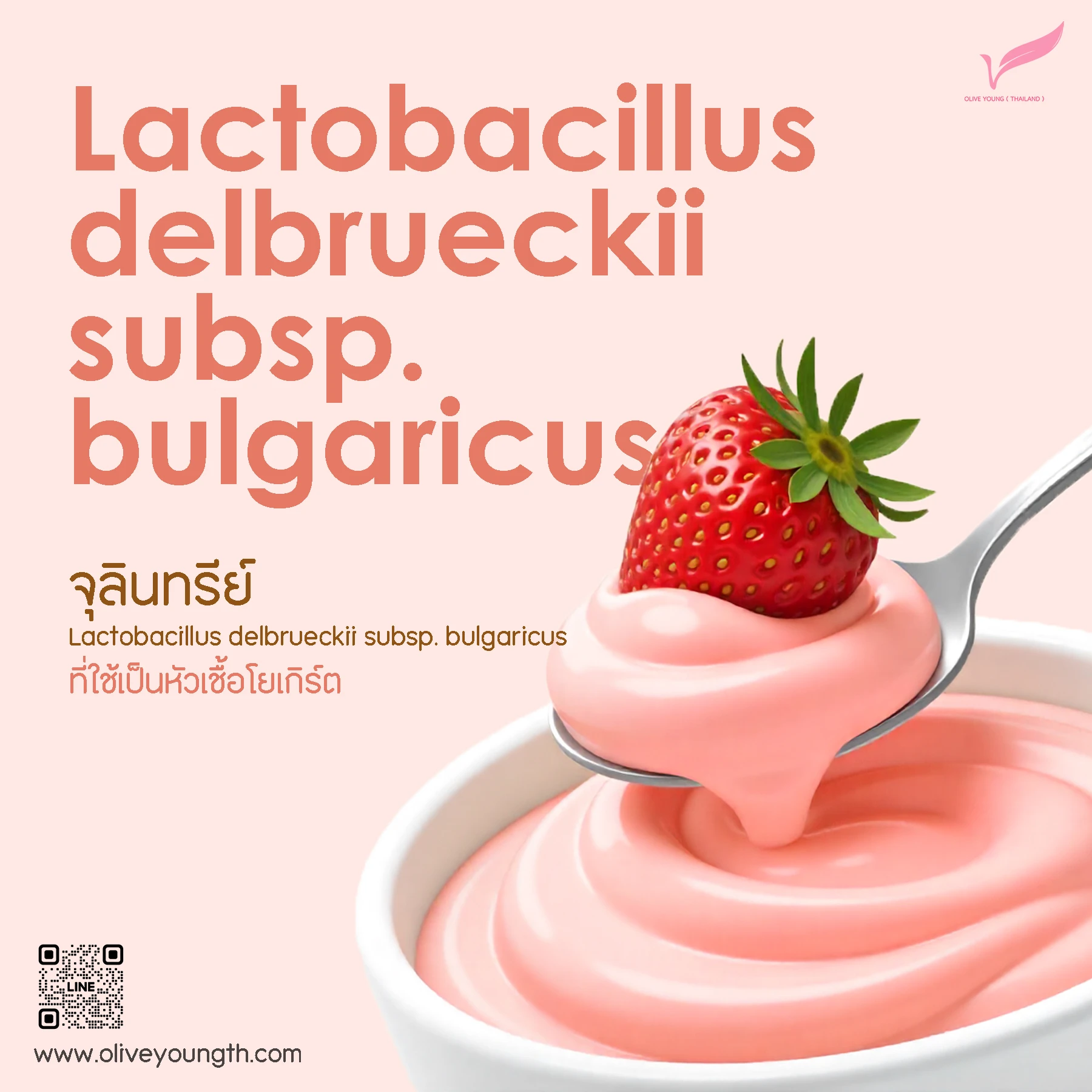 Lactobacillus delbrueckii subsp (Pop up).jpg