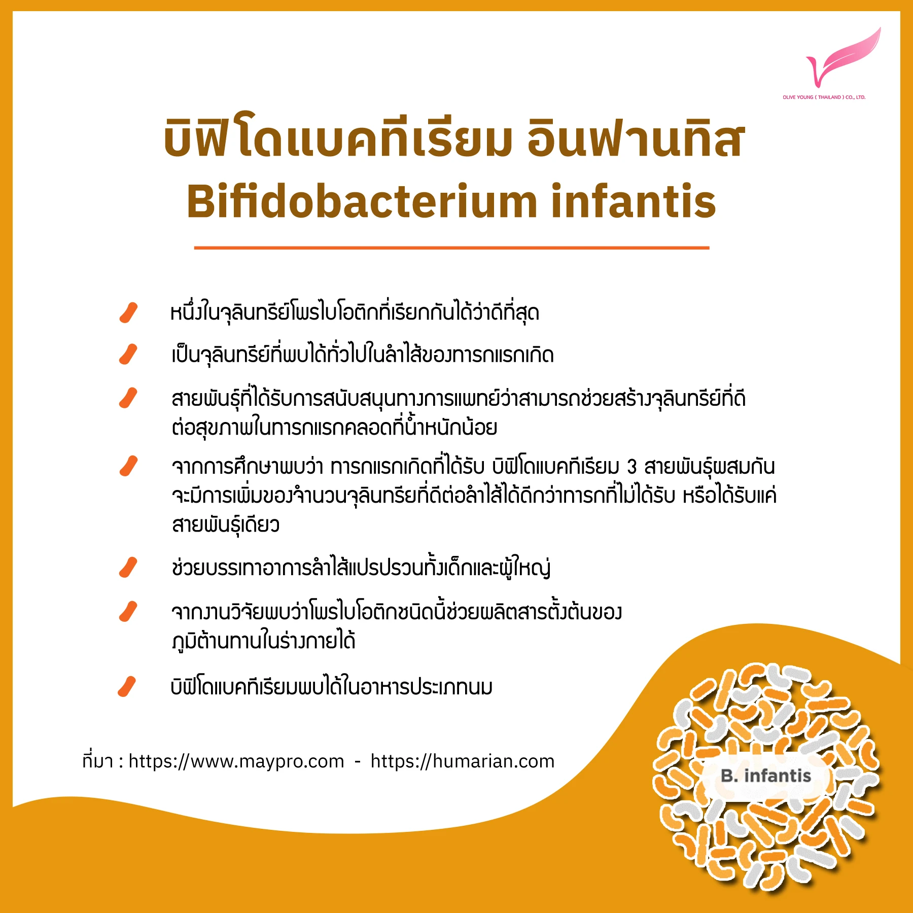 Bifidobacterium infantis2.jpg
