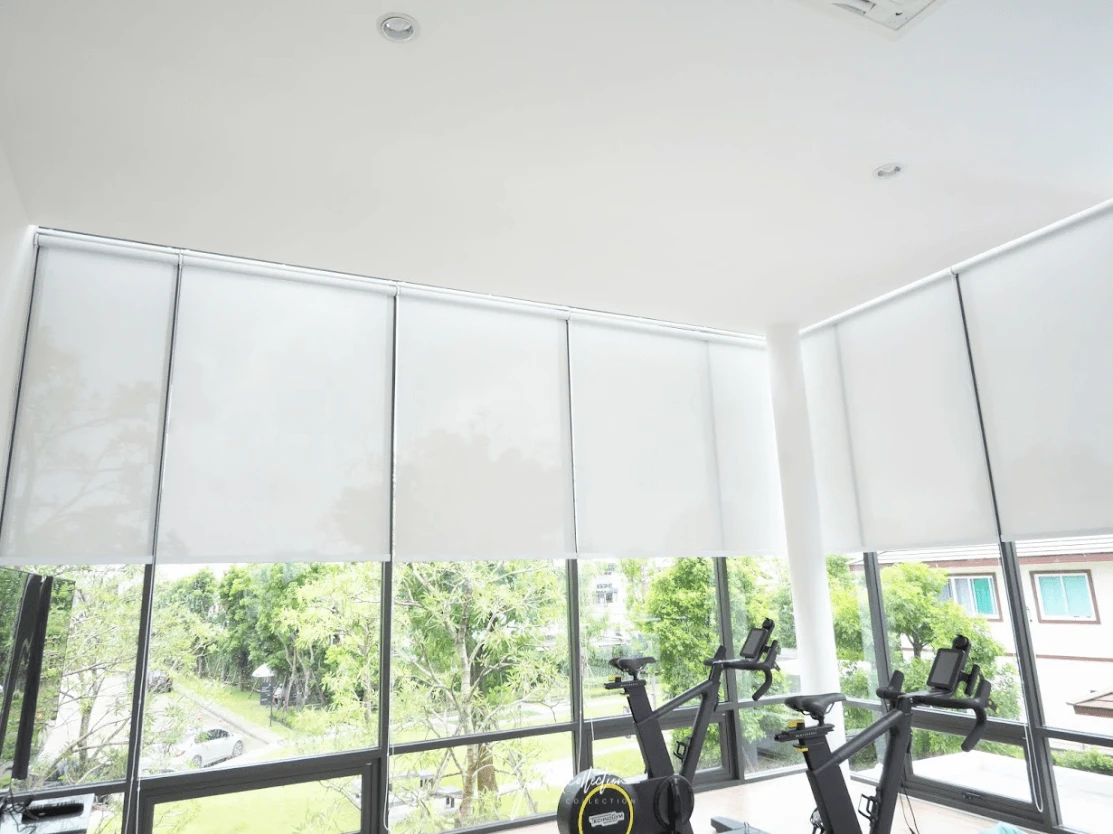 VYNN Collection Roller Blinds (7)