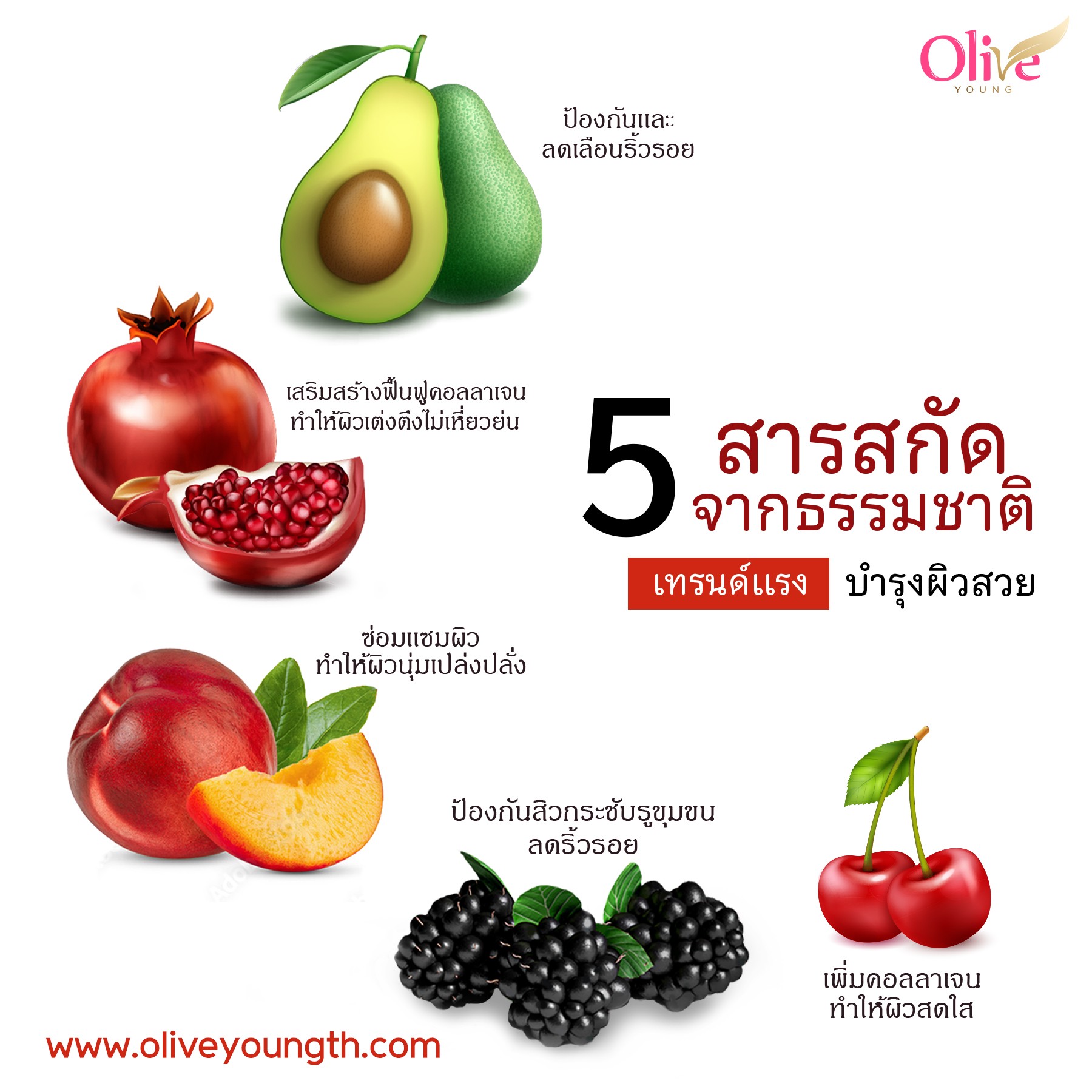 5 สารสกัดจากธรรมชาติ