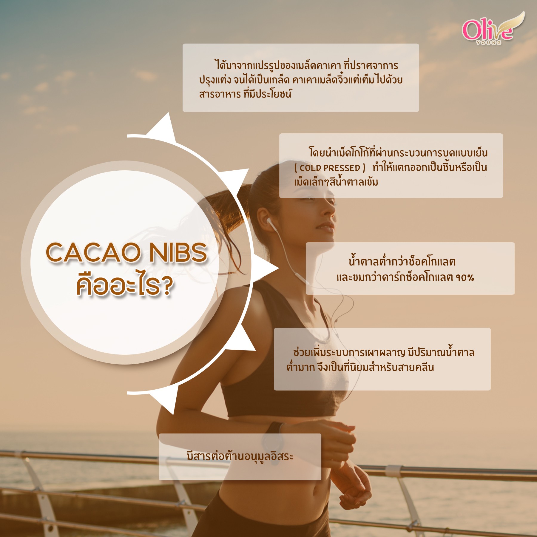 CACAO NIBS